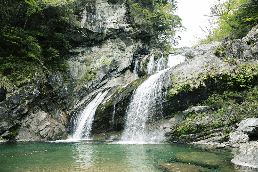 土佐龍馬チャレンジ