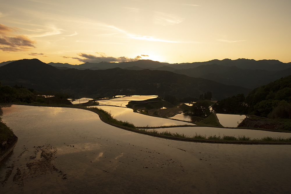 土佐龍馬チャレンジ