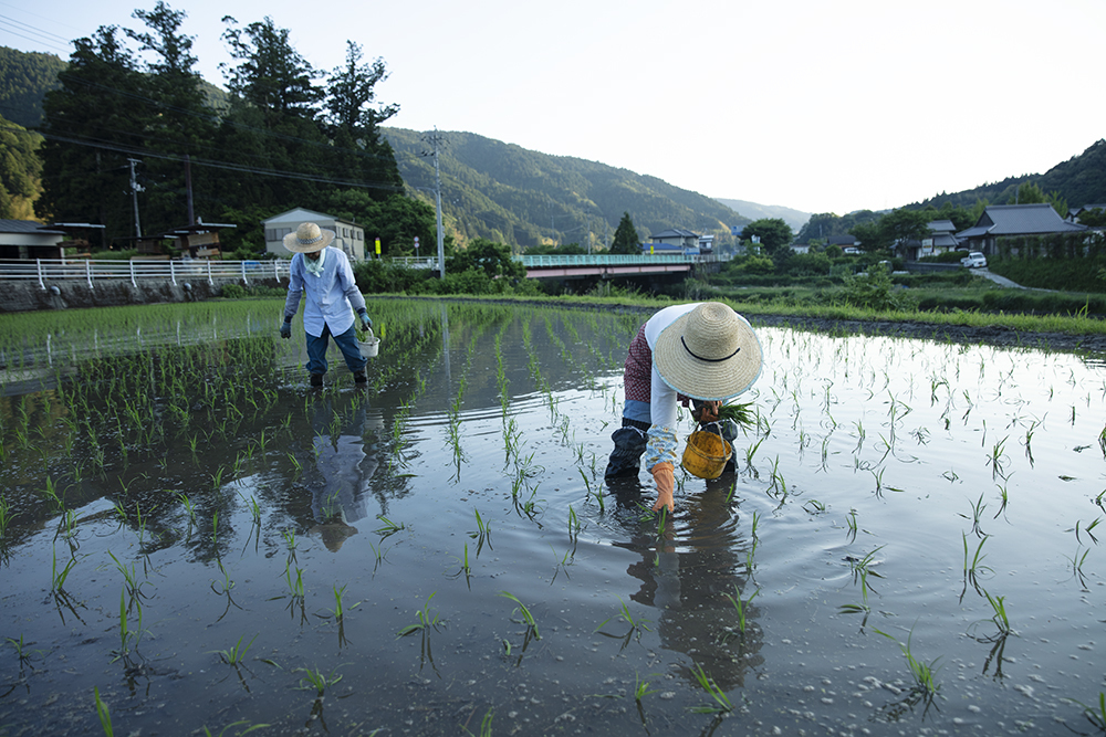 土佐龍馬チャレンジ